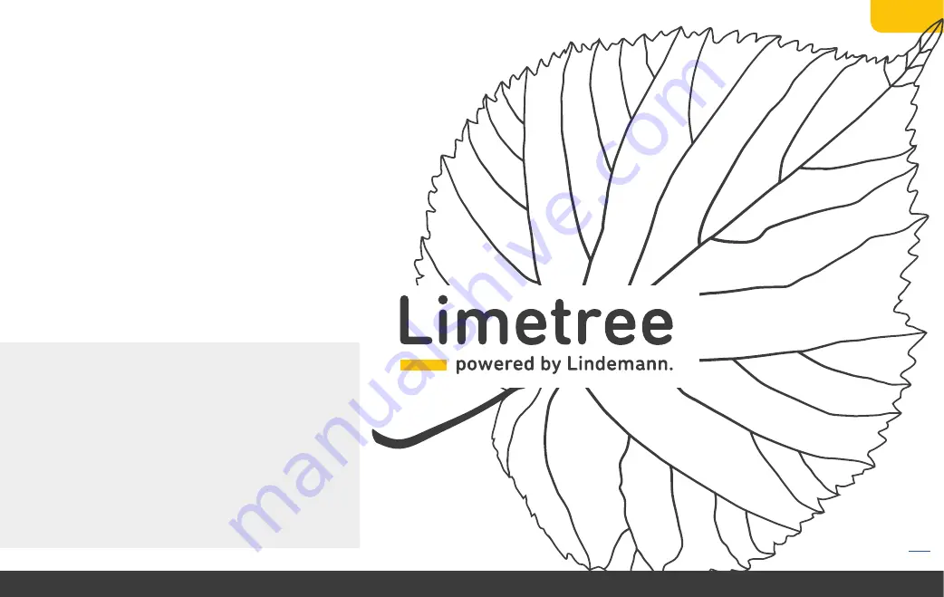 Lindemann LIMETREE USB-DAC Скачать руководство пользователя страница 3