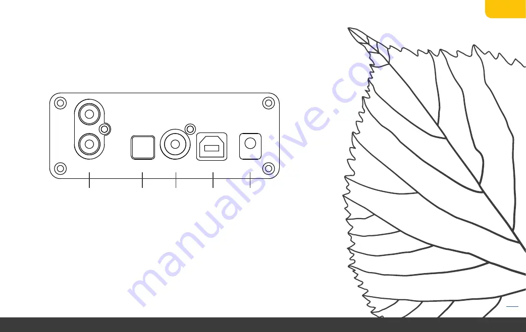 Lindemann LIMETREE USB-DAC Manual Download Page 7