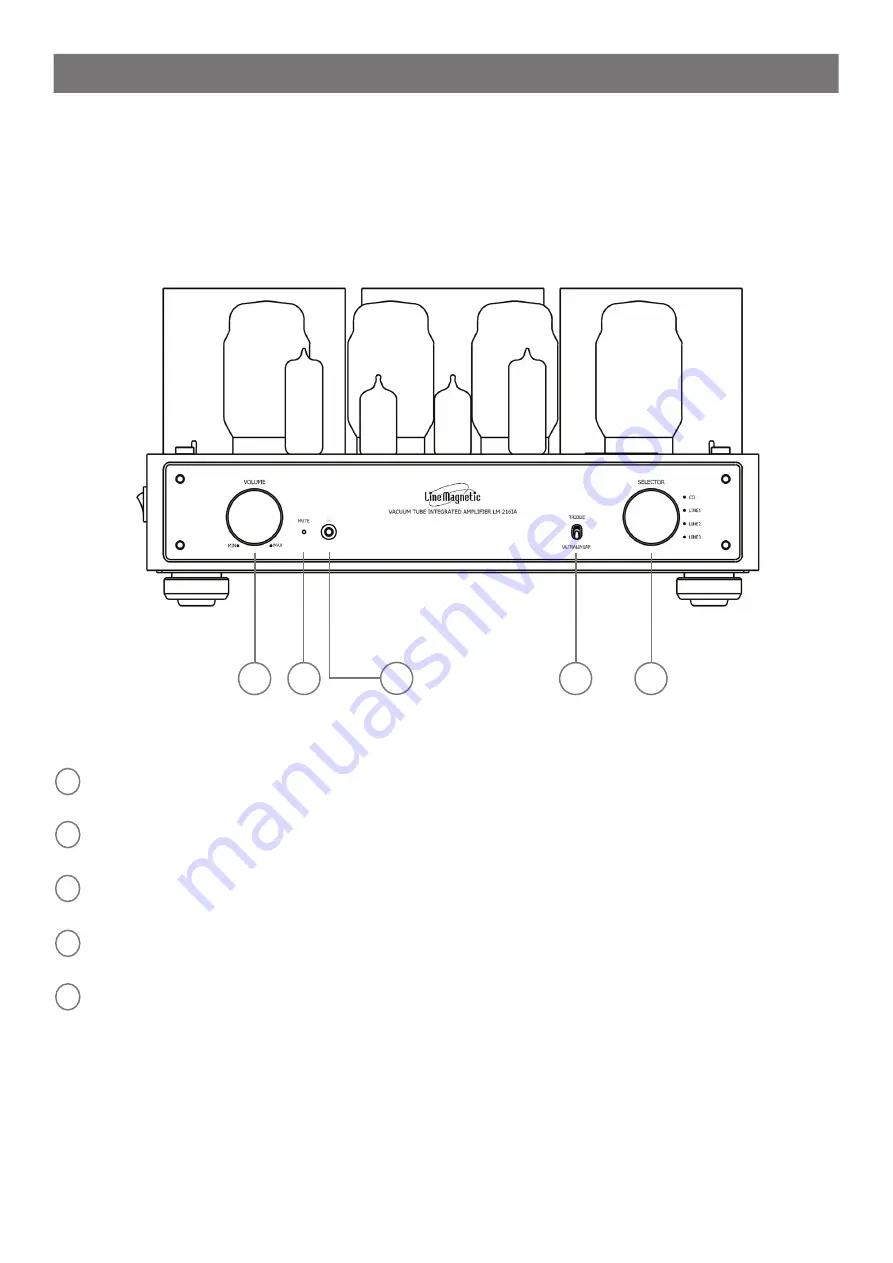 Line Magnetic LM-216IA Скачать руководство пользователя страница 6