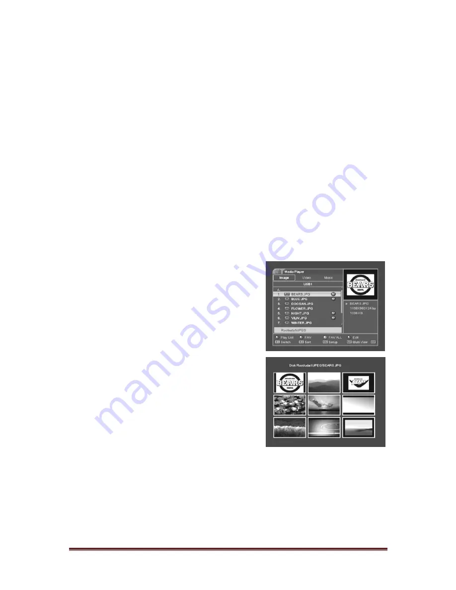 Linkbox Linkbox 8000HD PLUS User Manual Download Page 21