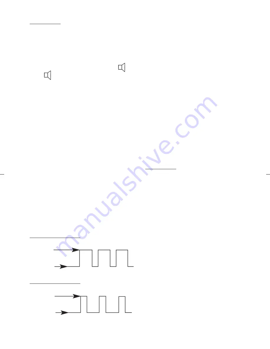 Lisa DS-1/RF Скачать руководство пользователя страница 4