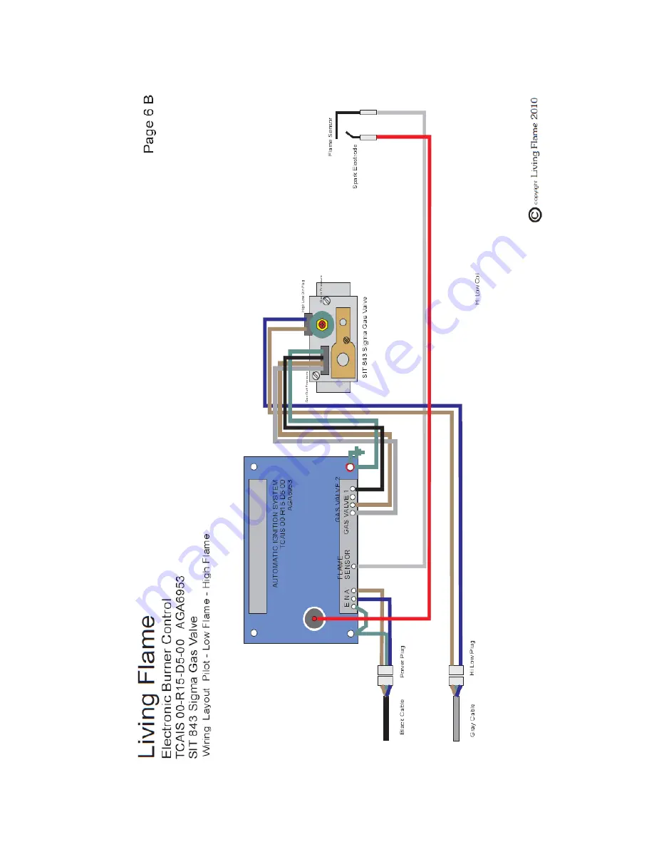 Living Flame Eastside Euro Installation Manuallines Download Page 31