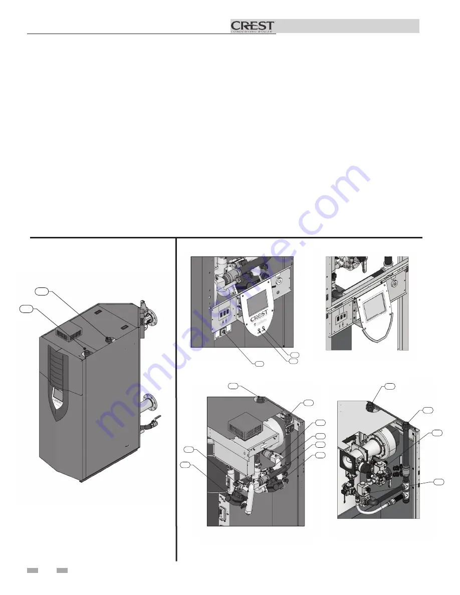 Lochinvar CREST 102 Series Supplemental Manual Download Page 4