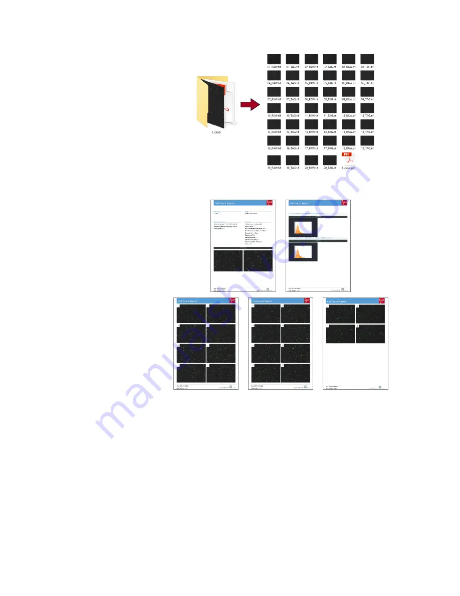 Logos Quantom Tx User Manual Download Page 13