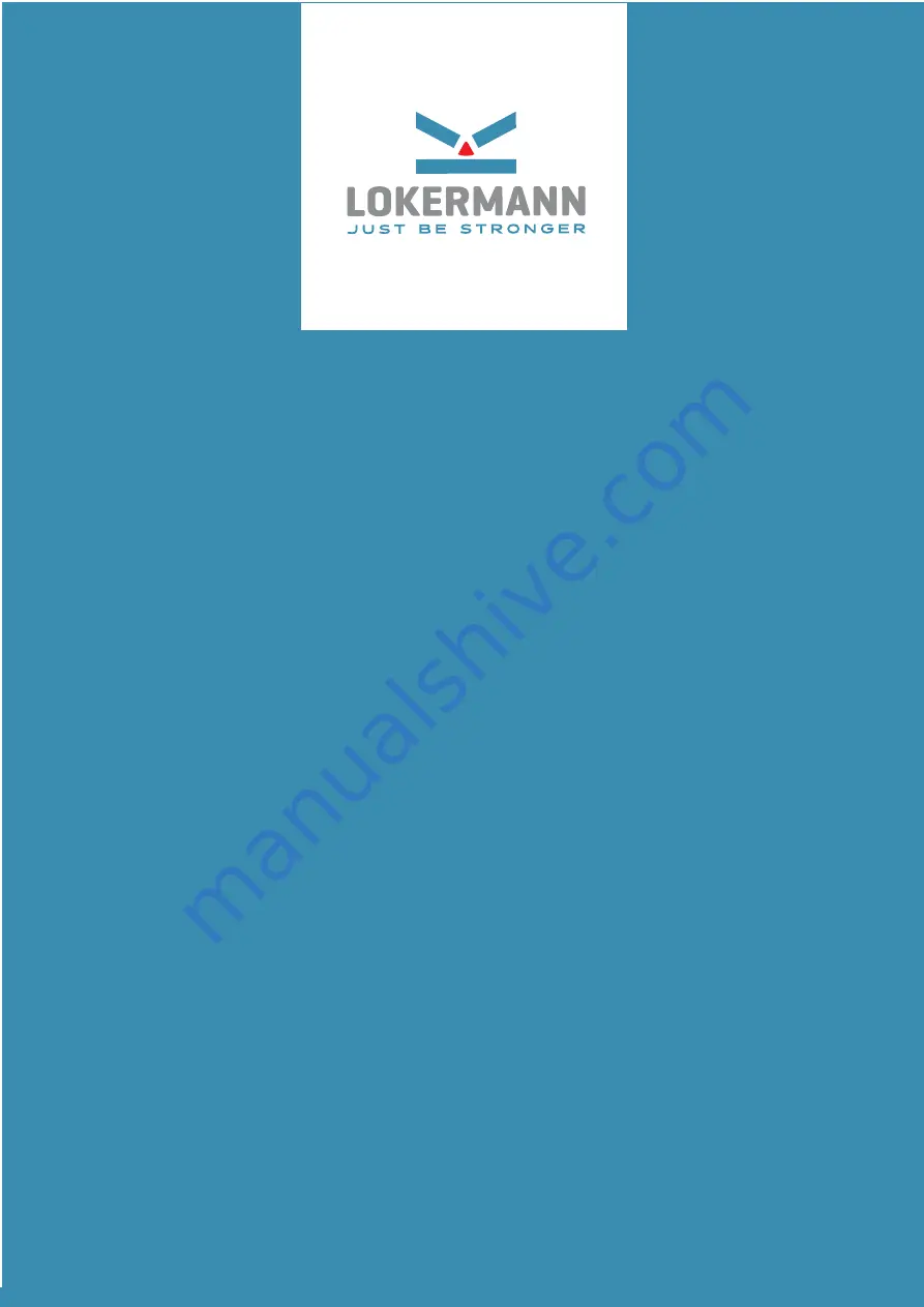 LOKERMANN GRAND MIG 160 User Manual Download Page 1