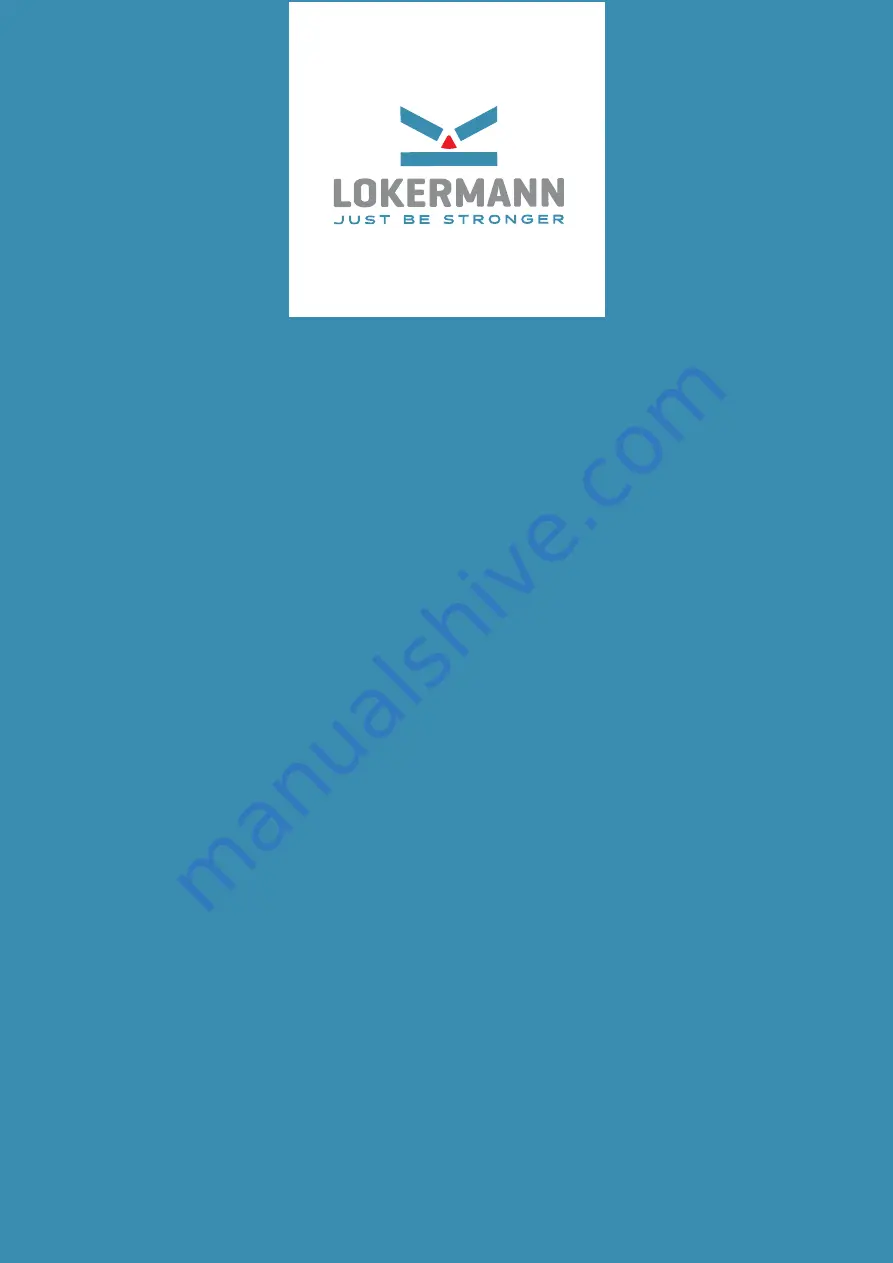 LOKERMANN GRAND MIG 200 MULTI PFC SYN MV User Manual Download Page 1