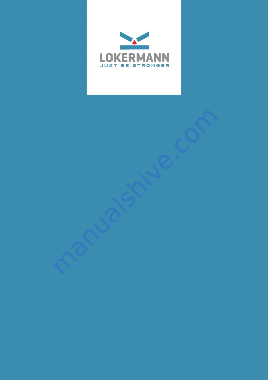 LOKERMANN GRAND MIG 315 COMPACT User Manual Download Page 1