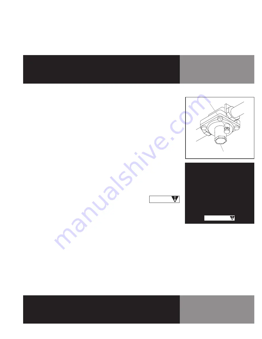 LoLo LCB15LMPF Operator'S Manual Download Page 21