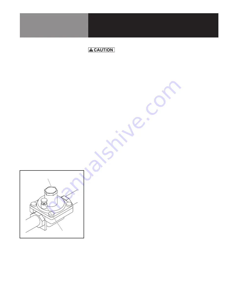 LoLo LHP212MPF Operator'S Manual Download Page 11