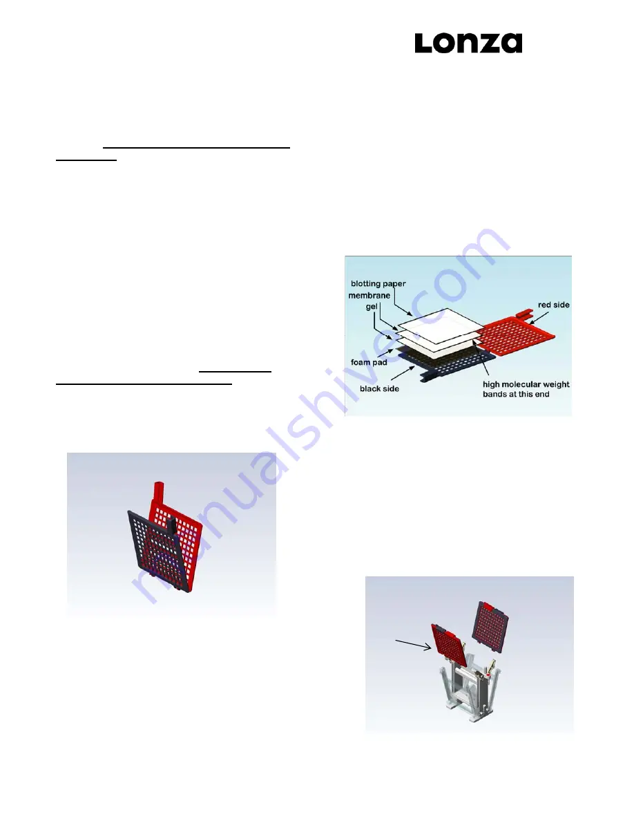 Lonza PAGEr Minigel Chamber Instruction Manual Download Page 4