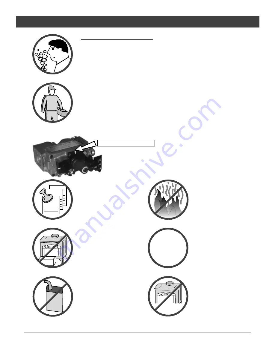 Lopi Sturbridge Owner'S Manual Download Page 4