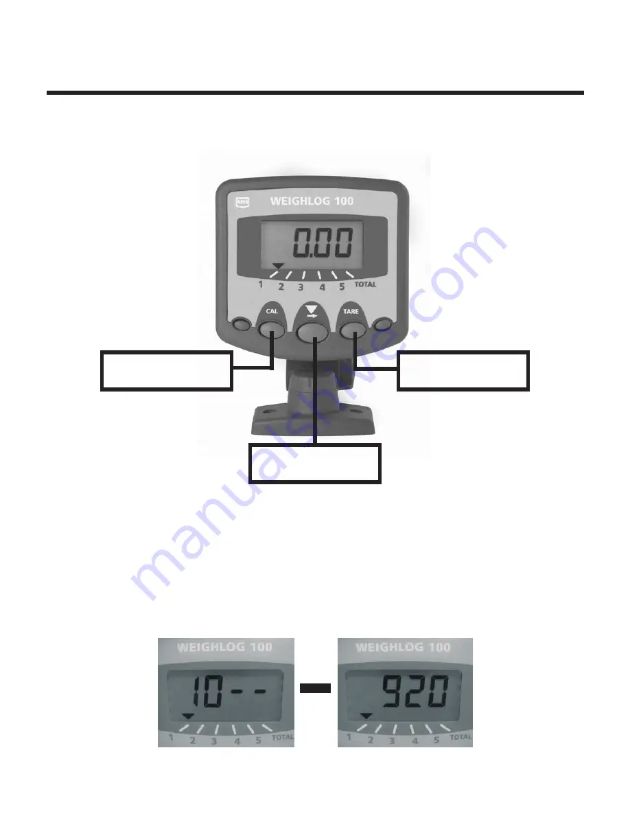 Loup Electronics Weighlog 100 User Manual Download Page 6