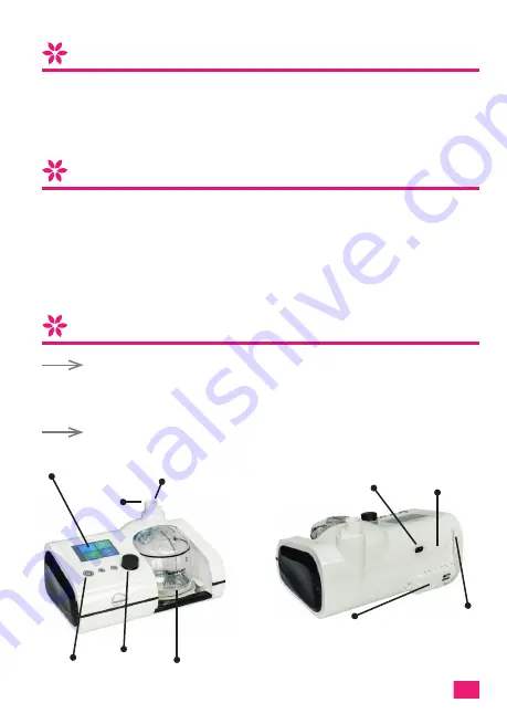 Lowenstein Medical LM Flow Instructions For Use And Technical Description Download Page 6