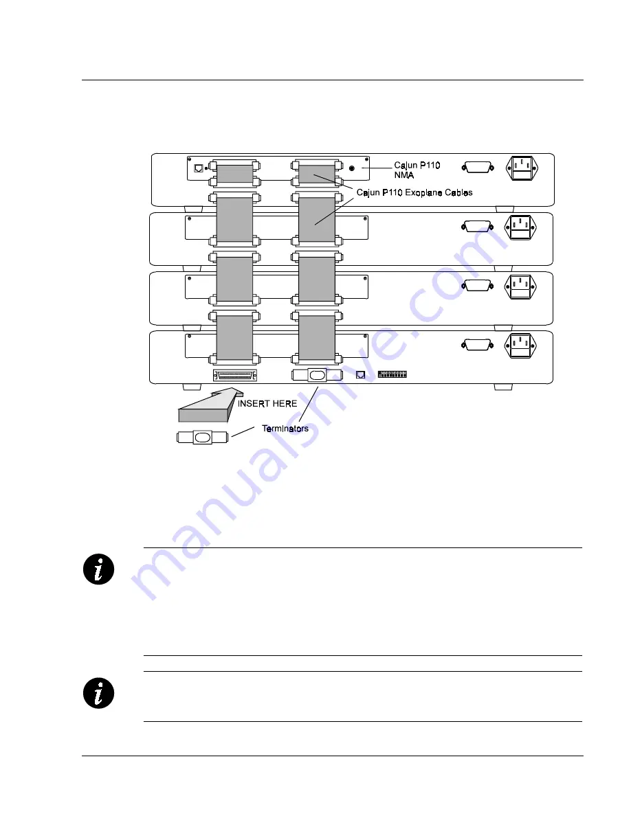 Lucent Technologies Cajun P115G Installation Manual Download Page 10