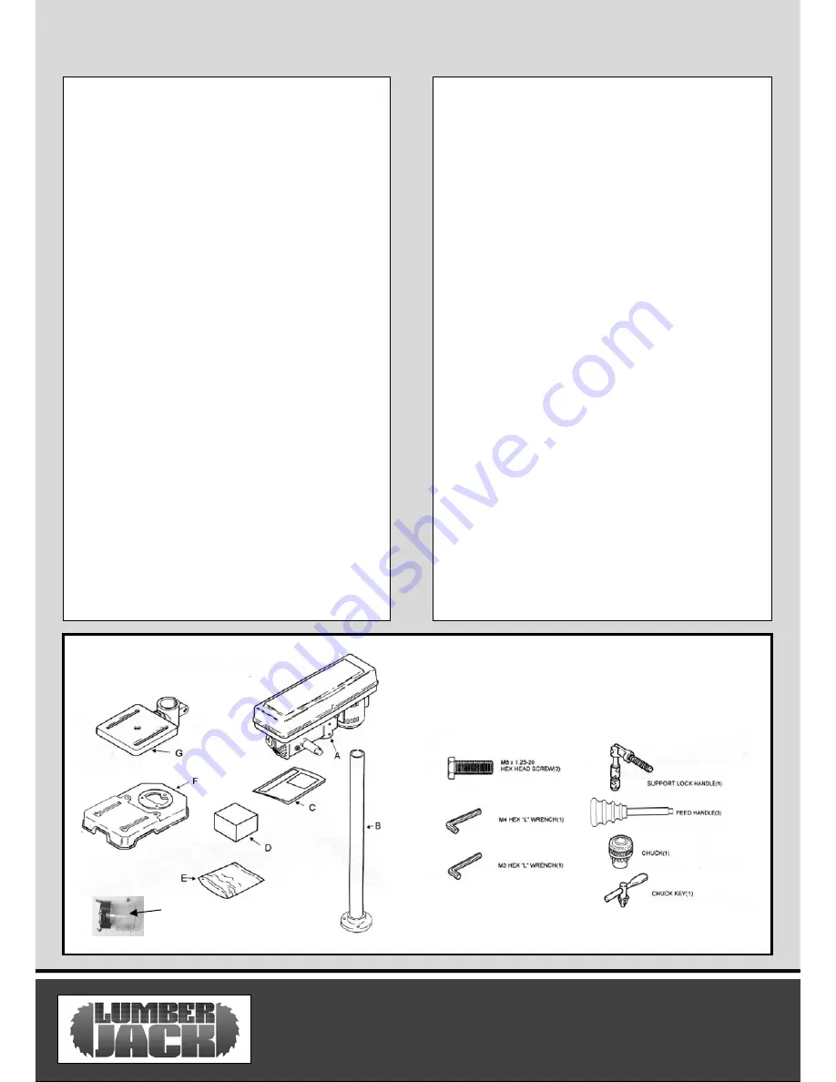 Lumber Jack DP13-580B Скачать руководство пользователя страница 8