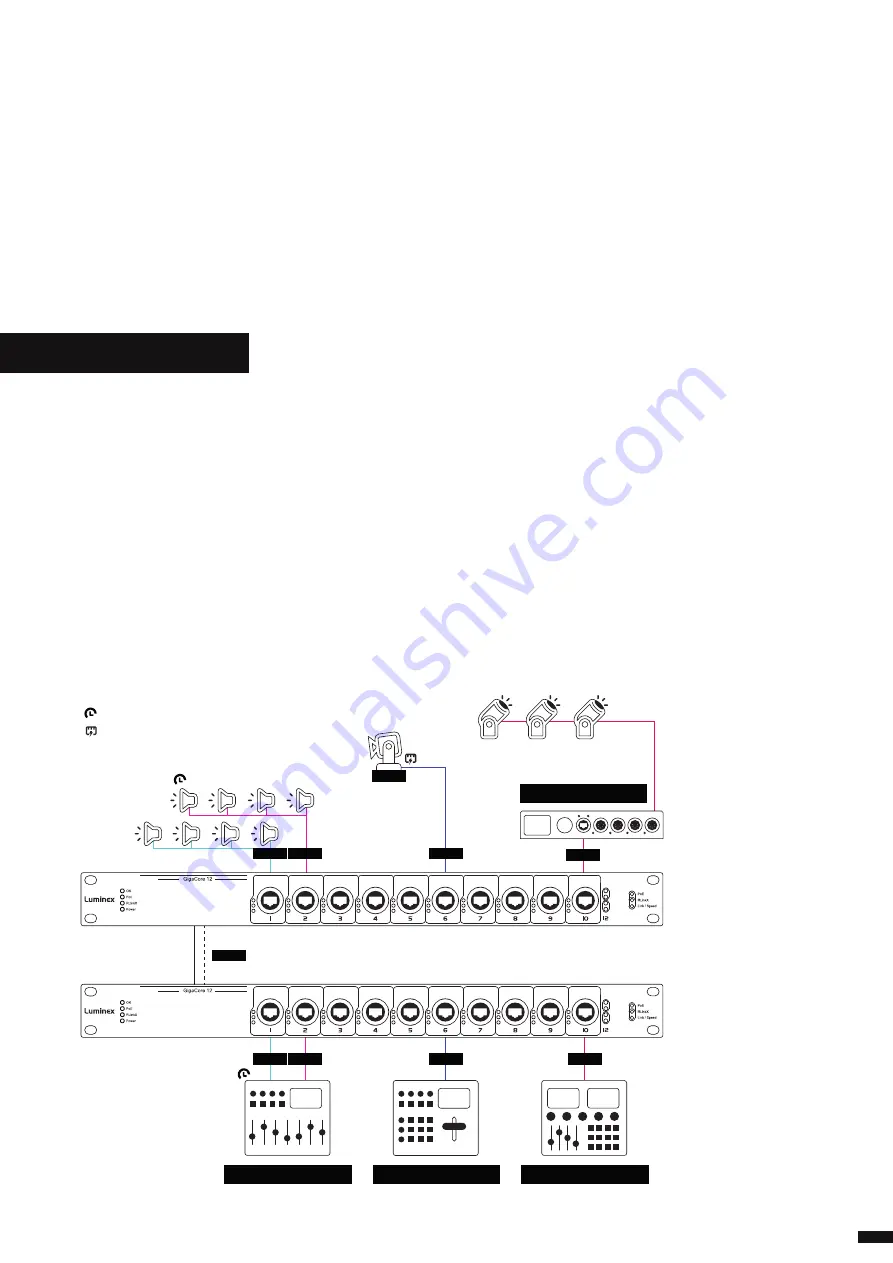 Luminex GigaCore 10 User Manual Download Page 5