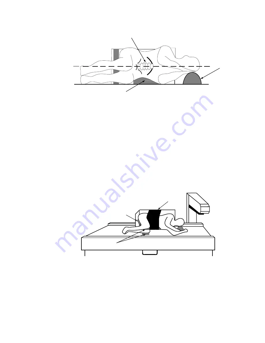 Lunar DPX-IQ Operator'S Manual Download Page 82