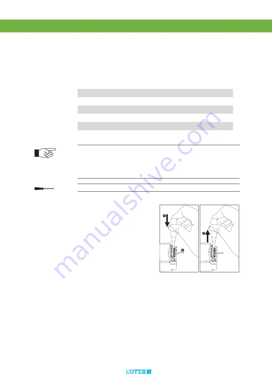 Lütze LION Series Operating Instructions Manual Download Page 31