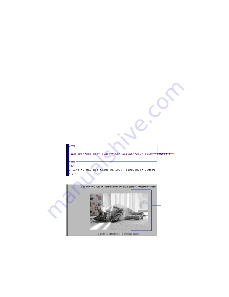 MACROMEDIA 38028779 - Macromedia Dreamweaver - Mac Using Manual Download Page 325