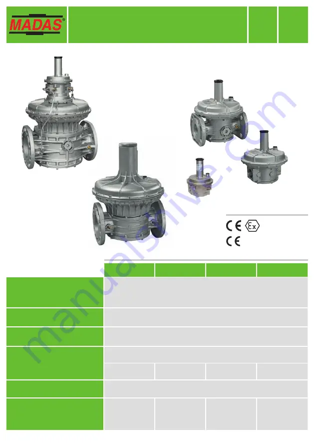 Madas RG/2MC Скачать руководство пользователя страница 1