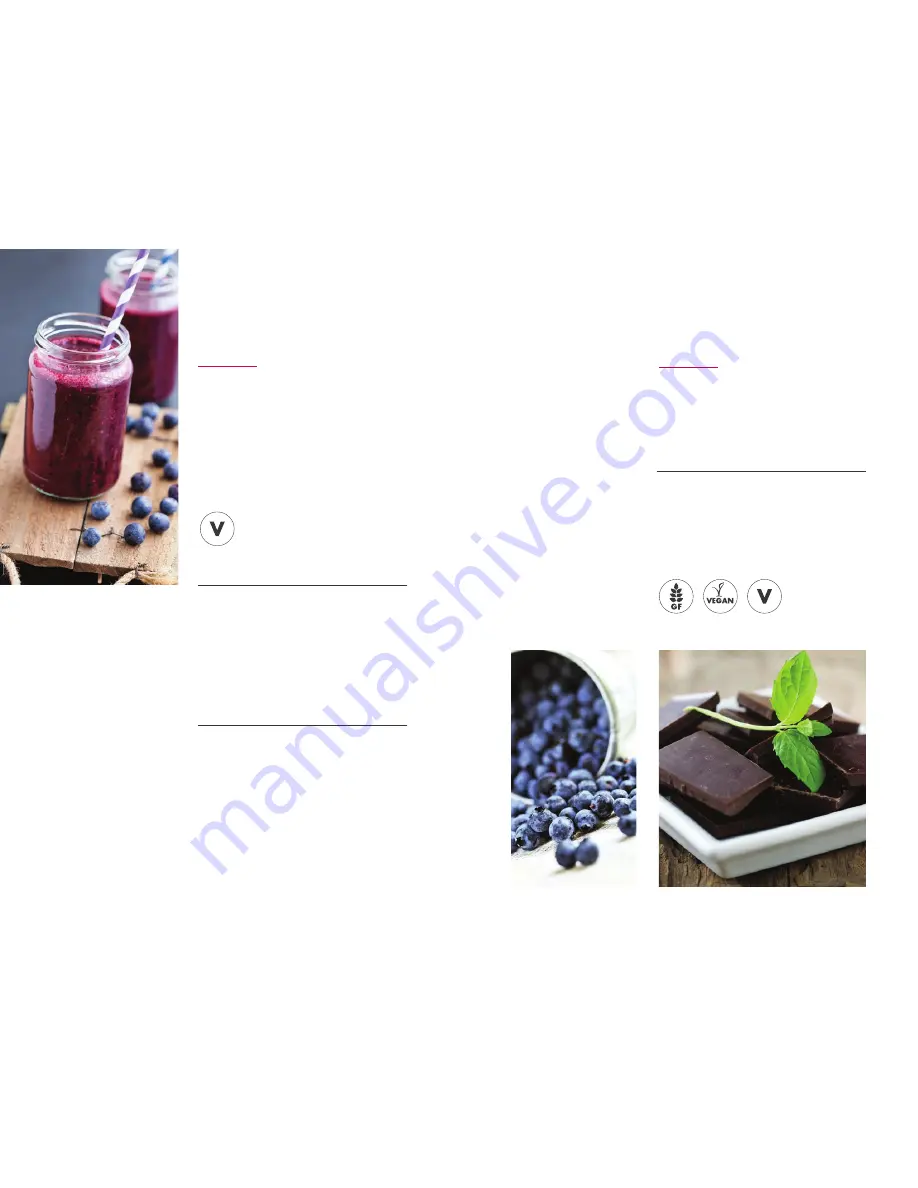 Magic Bullet MBR-1701 User Manual And Recipes Download Page 26