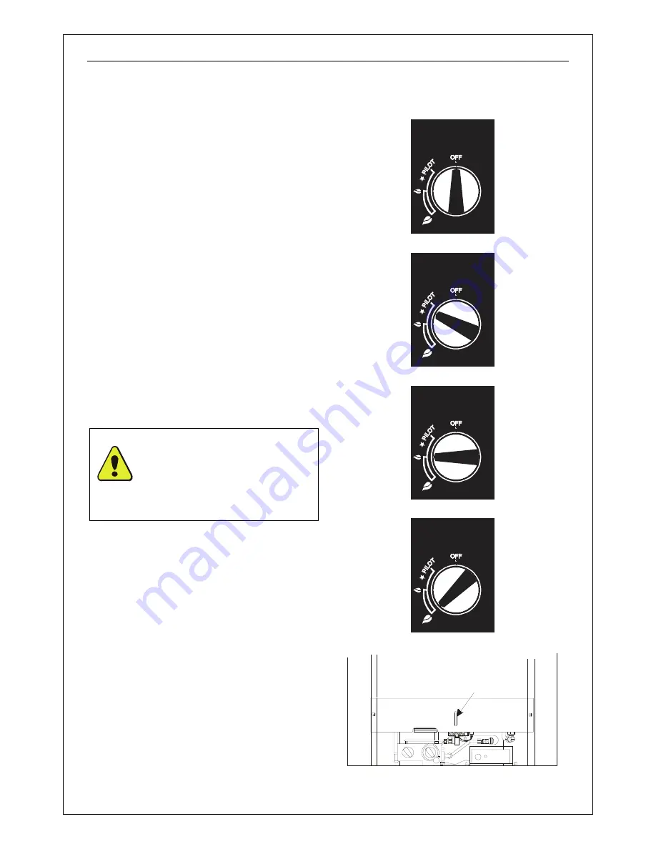 Magiglo ACCOLADE User, Installation & Servicing Instructions Download Page 10