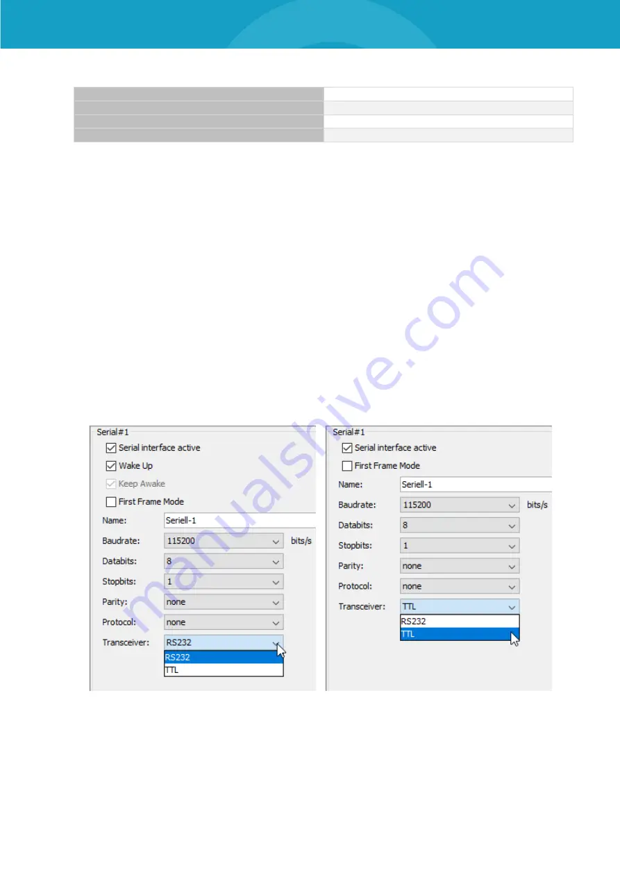 Magna BLUEPIRAT Rapid Series User Manual Download Page 32