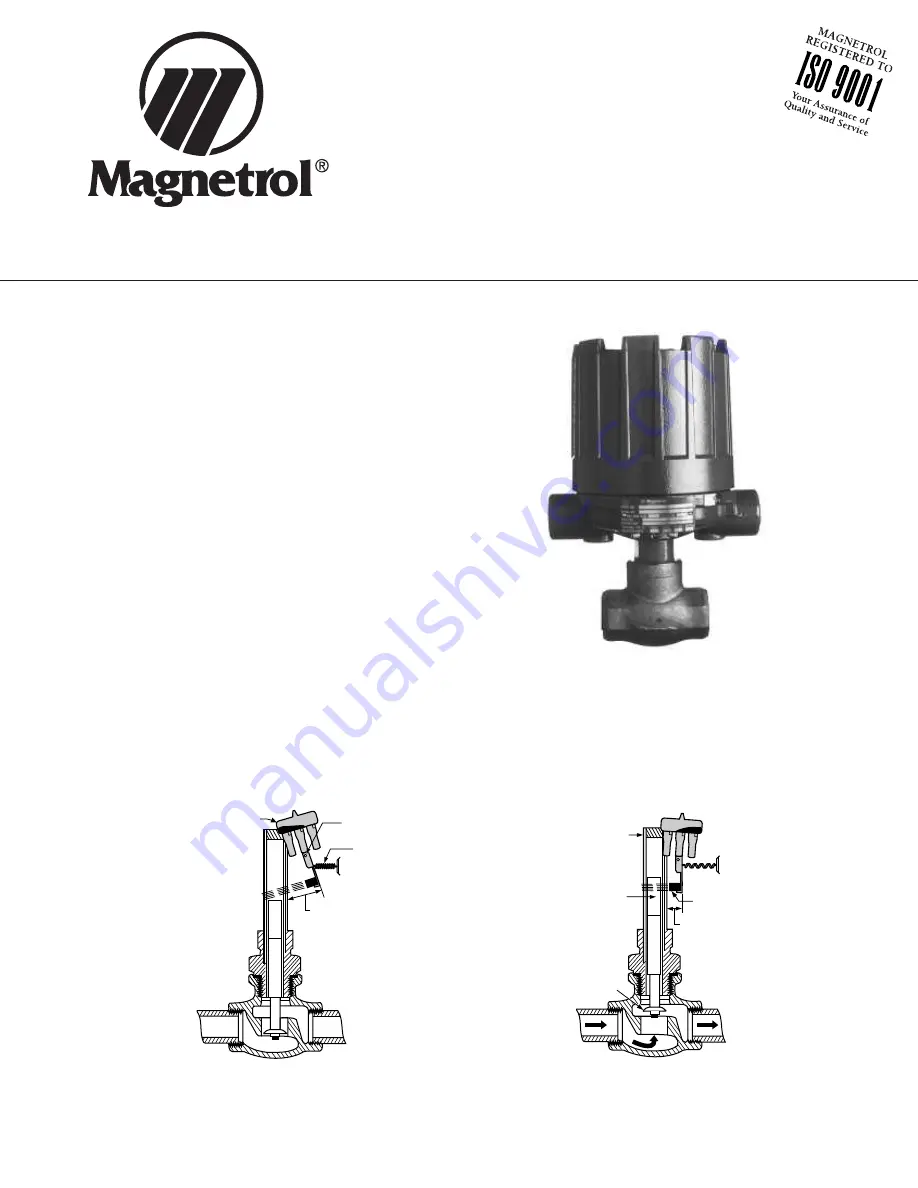 Magnetrol F50 Instruction Manual And Parts List Download Page 1