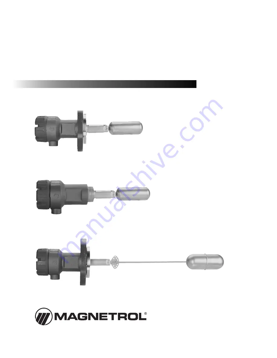 Magnetrol Tuffy T31 Скачать руководство пользователя страница 1