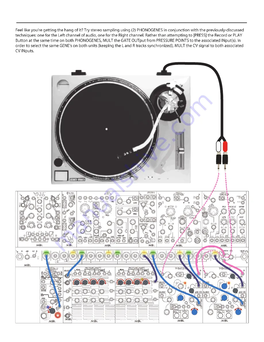 Make Noise PHONOGENE User Manual Download Page 26