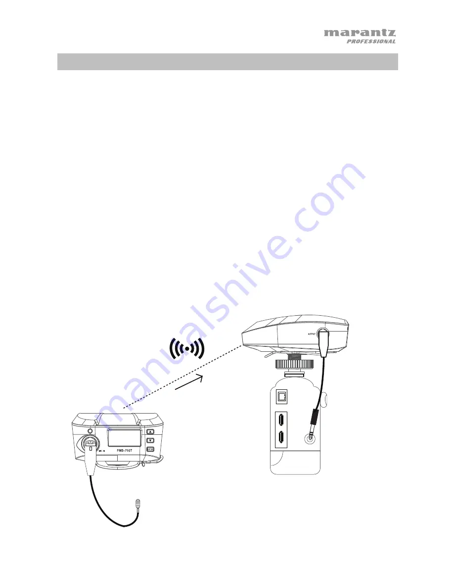 Marantz professional PMD-750 User Manual Download Page 43