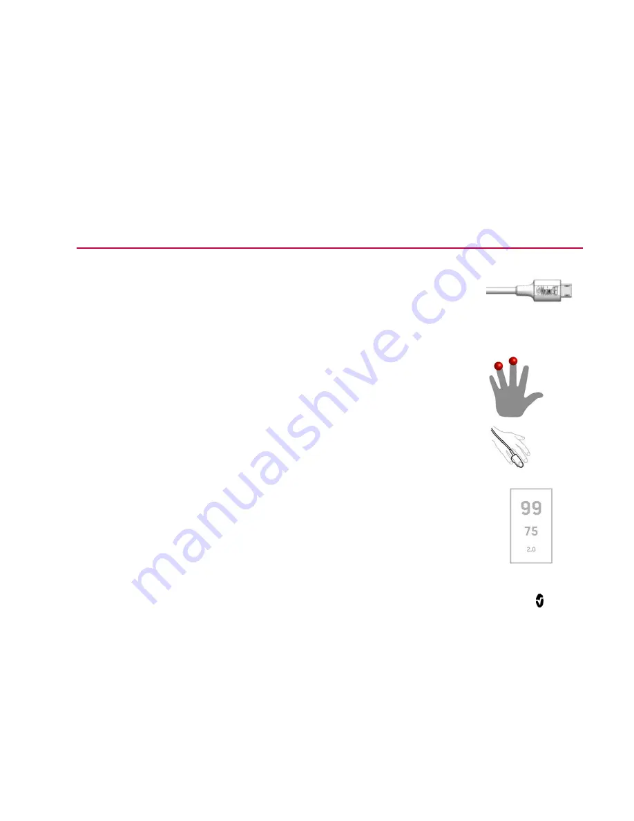 Masimo iSpO2 Operator'S Manual Download Page 11