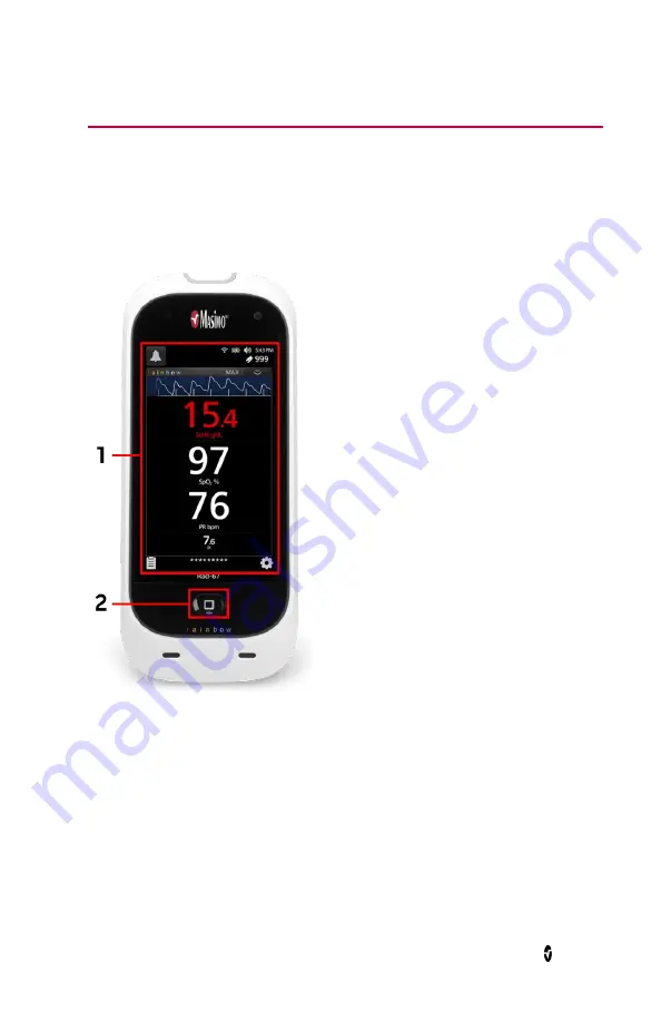 Masimo Rad-67 Pulse CO-Oximeter Скачать руководство пользователя страница 31