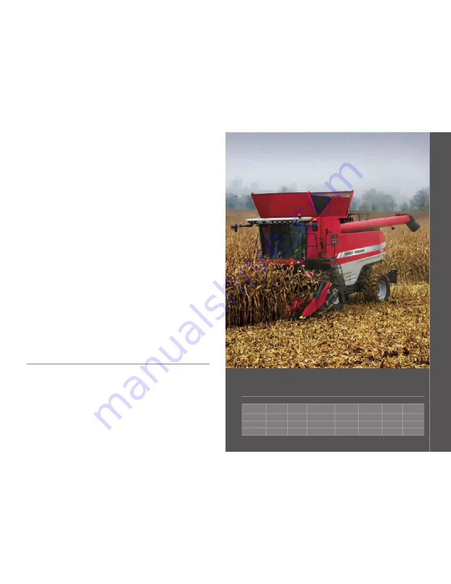 MASSEY FERGUSON 9005 FORTIA -  300-425 Скачать руководство пользователя страница 2