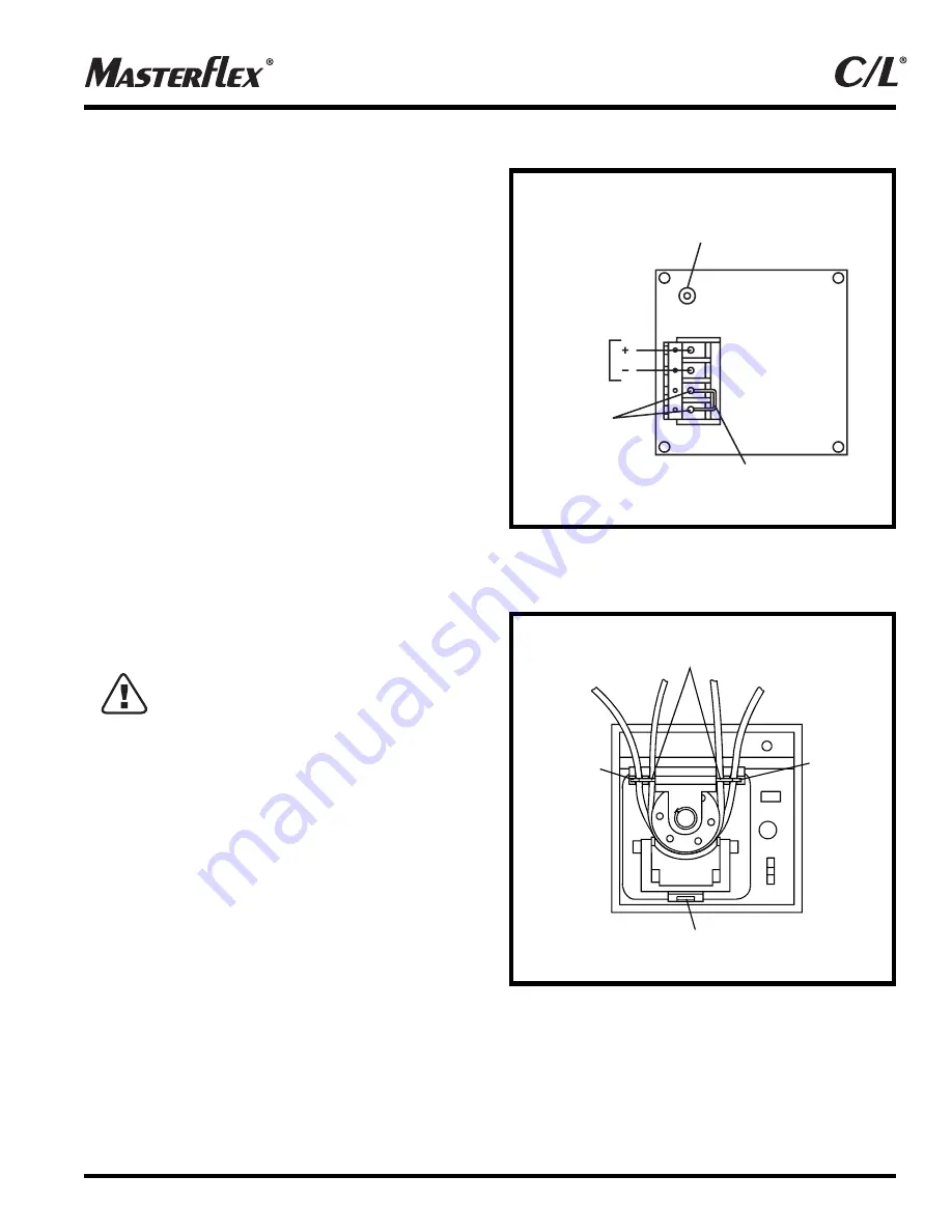 Masterflex C/L Series Operating Manual Download Page 5