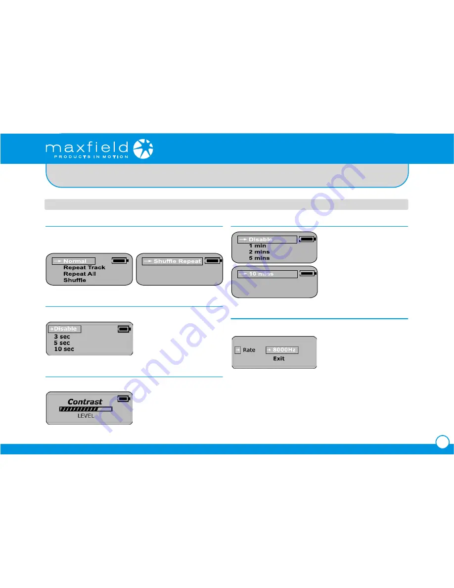 Maxfield MAX P-01 Скачать руководство пользователя страница 12