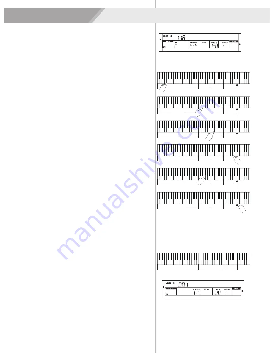 Medeli AW GRAND 300 Owner'S Manual Download Page 21