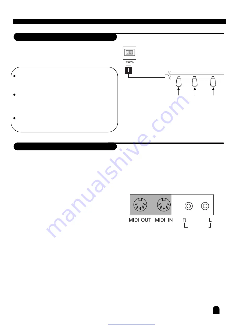 Medeli DP268 User Manual Download Page 12