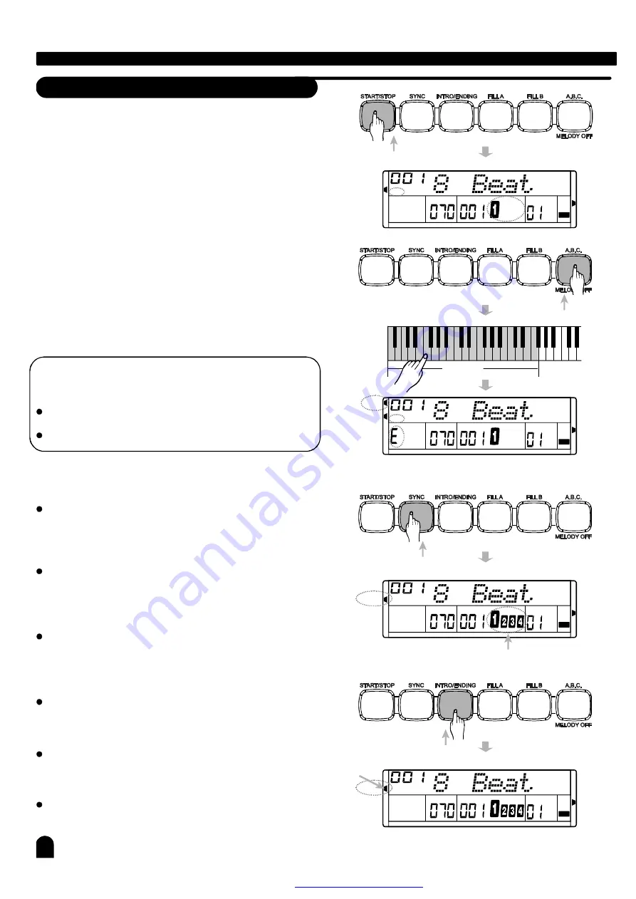 Medeli DP268 User Manual Download Page 17