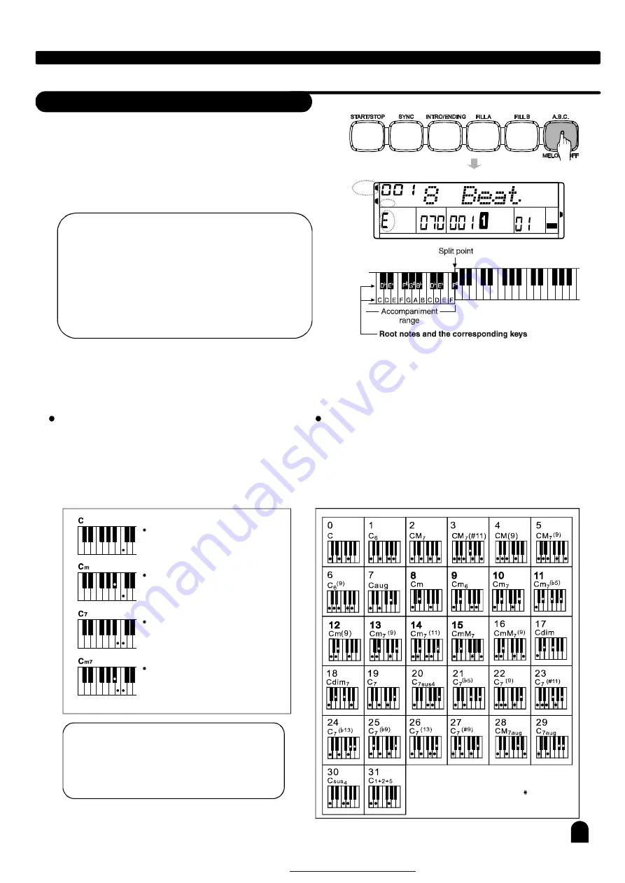 Medeli DP268 User Manual Download Page 20