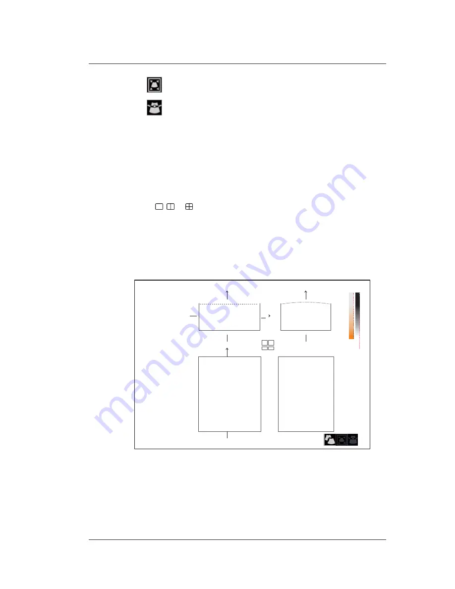 MediSono P25 EXP User Manual Download Page 137