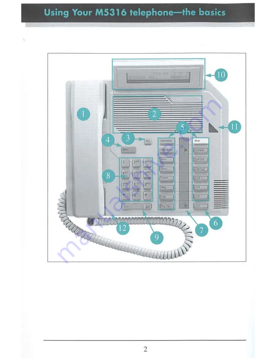 Meridian M5316 User Manual Download Page 4