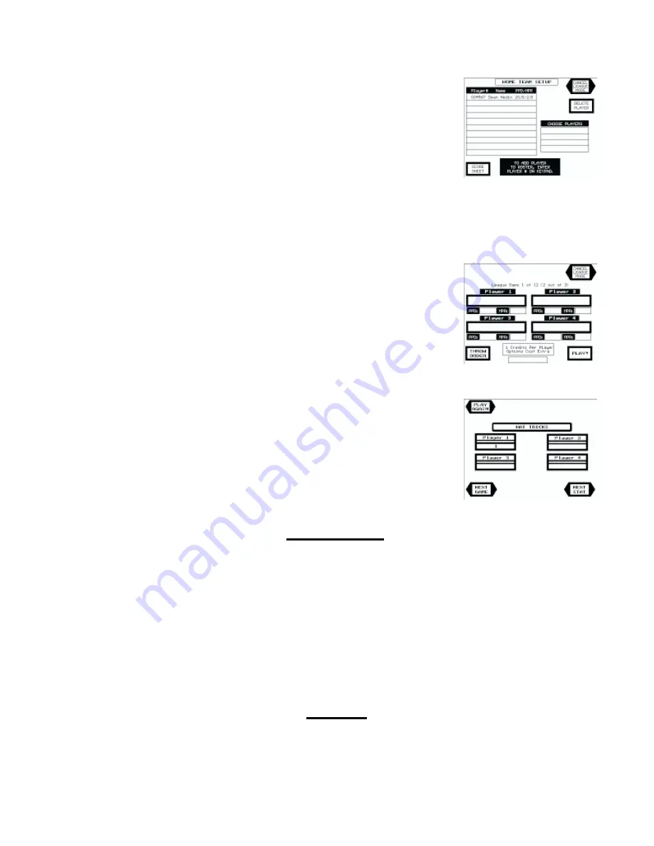 Merit Scorpion DX Operator'S Manual Download Page 19