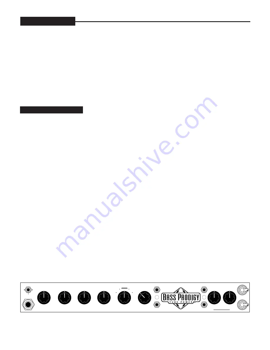 Mesa/Boogie Bass Prodigy Owner'S Manual Download Page 8