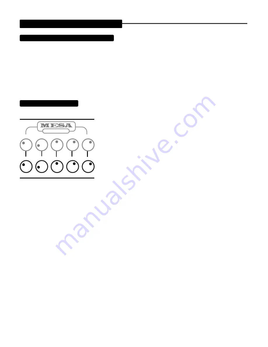 Mesa/Boogie M-PULSE Owner'S Manual Download Page 11