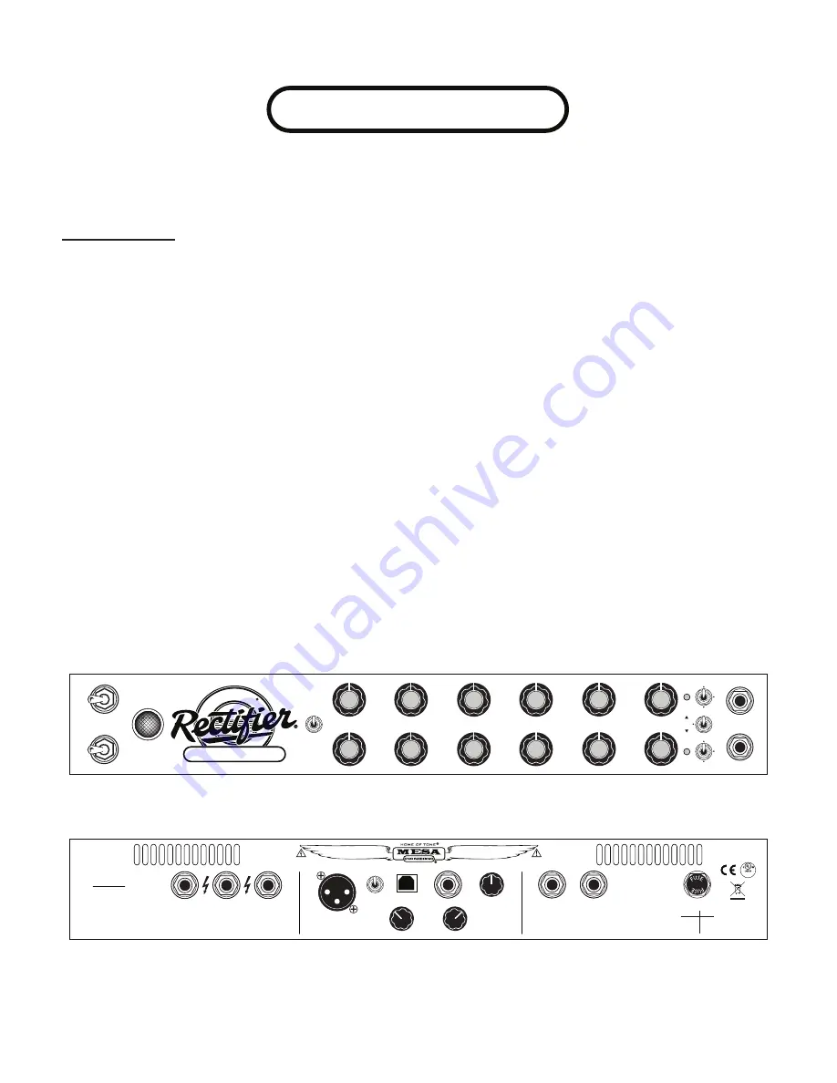 Mesa/Boogie Rectifier BADLANDER EL84/25 Owner'S Manual Download Page 6