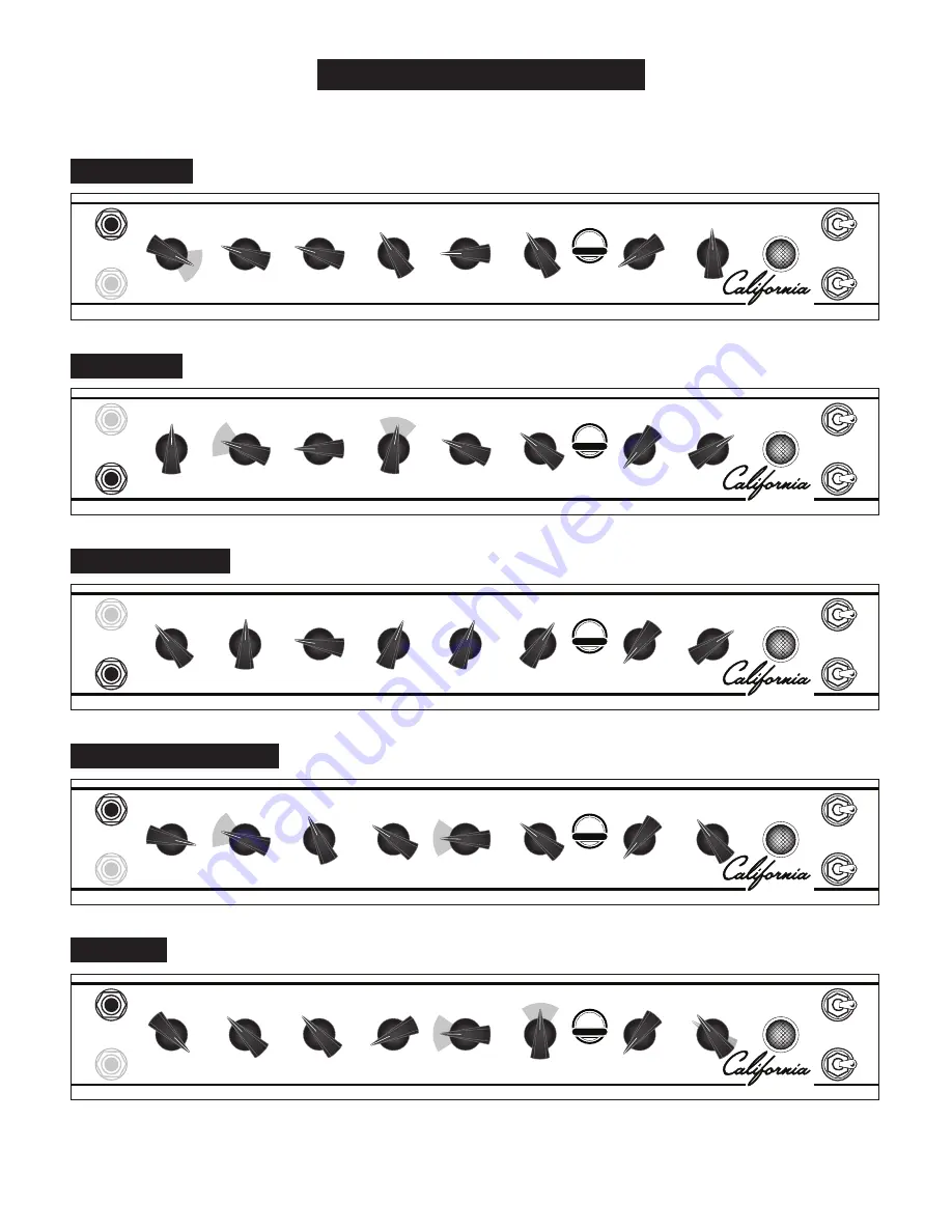 MESA ENGINEERING California tweed 6V6 4:FORTY Manual Download Page 19