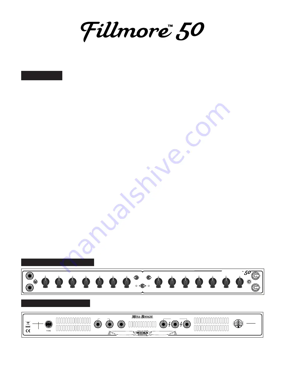 Mesa Fillmore 50 Скачать руководство пользователя страница 5