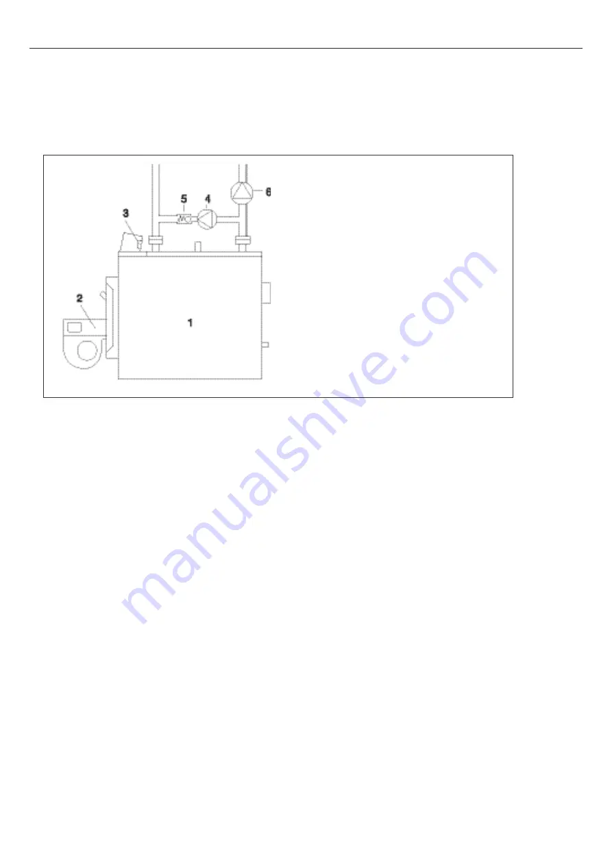 MHS Boilers DUOMAX N Series Скачать руководство пользователя страница 22