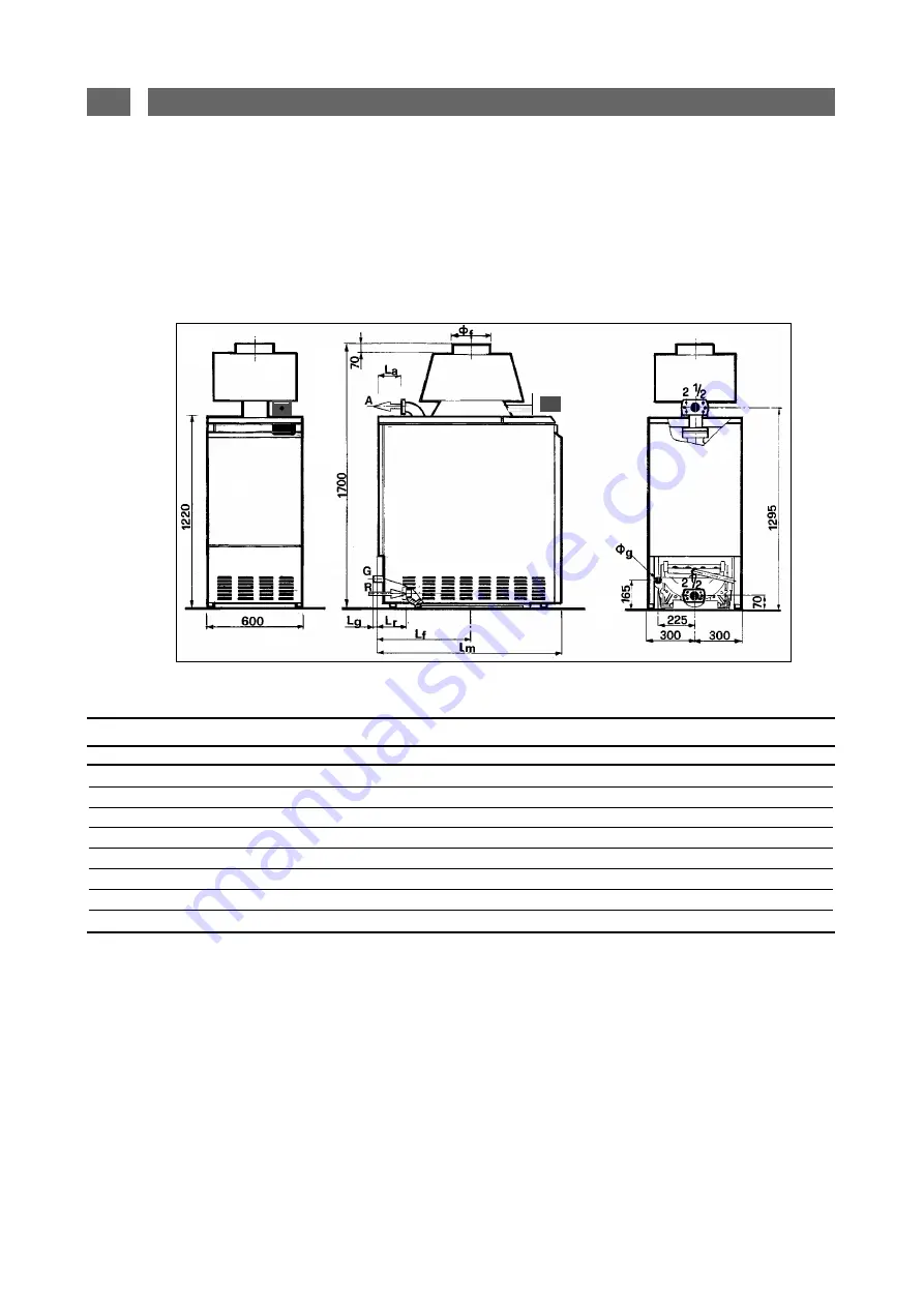 MHS Boilers REGENCY 4 MODULEK Series Скачать руководство пользователя страница 8